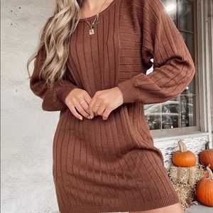 Boutique Brown Sweater Dress